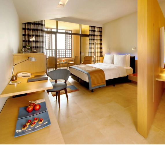 Kempinski Hotel Ishtar Dead SeaOver view