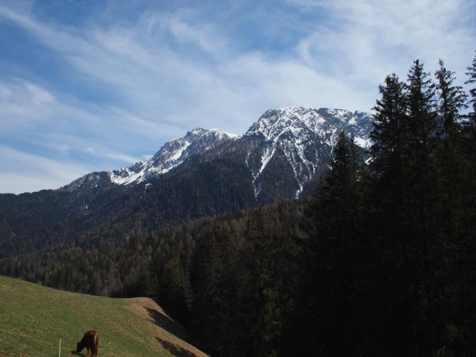 Berggasthof Trattes