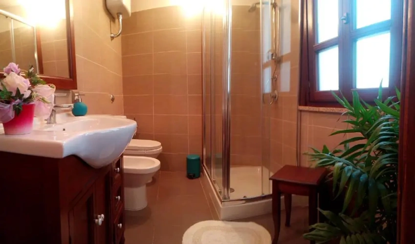 Standard Single room with view