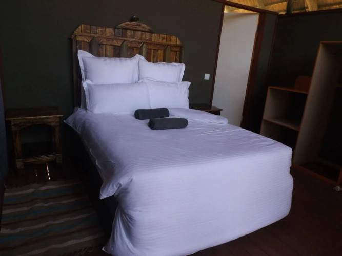 Lion Roars Lodge