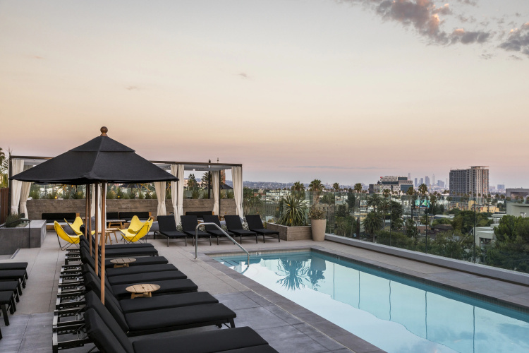 Kimpton Everly Hotel photo 22