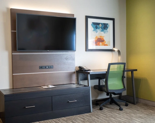 1 Bedroom Suite
