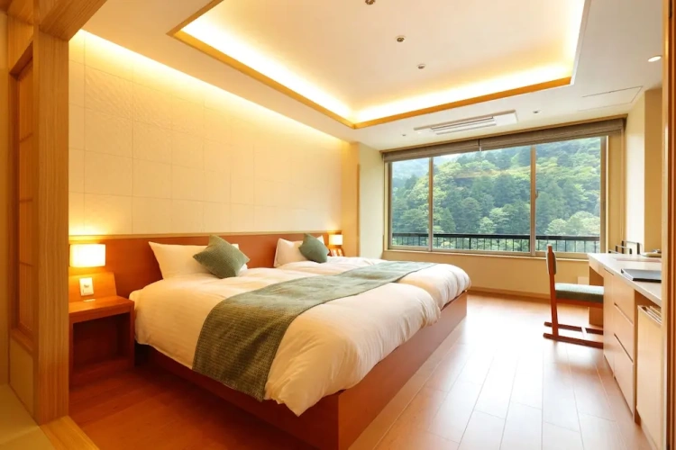 Luxury Double room