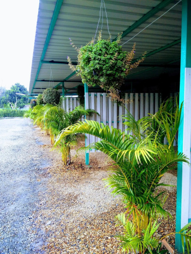 Duangdara Guesthouse