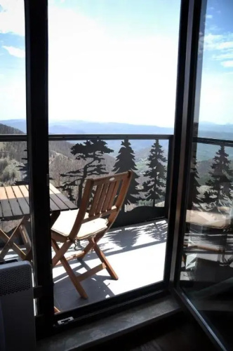 Ariš Kopaonik apartman A21