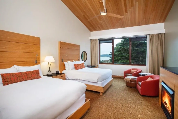 Contemporary Double room
