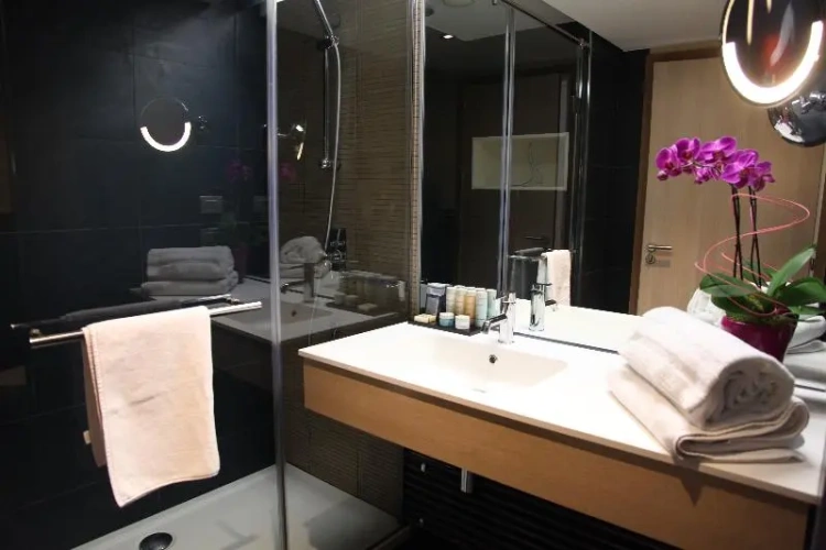 Premium Single room with balcony and with sea view