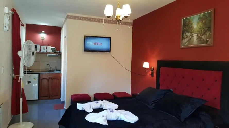 Deluxe Apartment