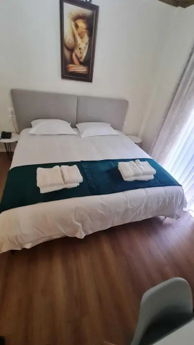 Bujtina 31