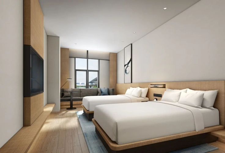 Standard Double room with city view
