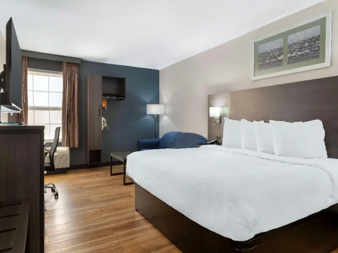 Quadruple Suite