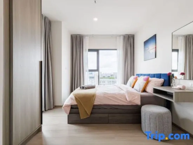 1 Bedroom Suite