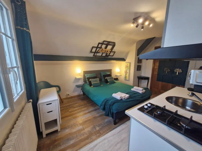 Comfort Double Studio with garden view