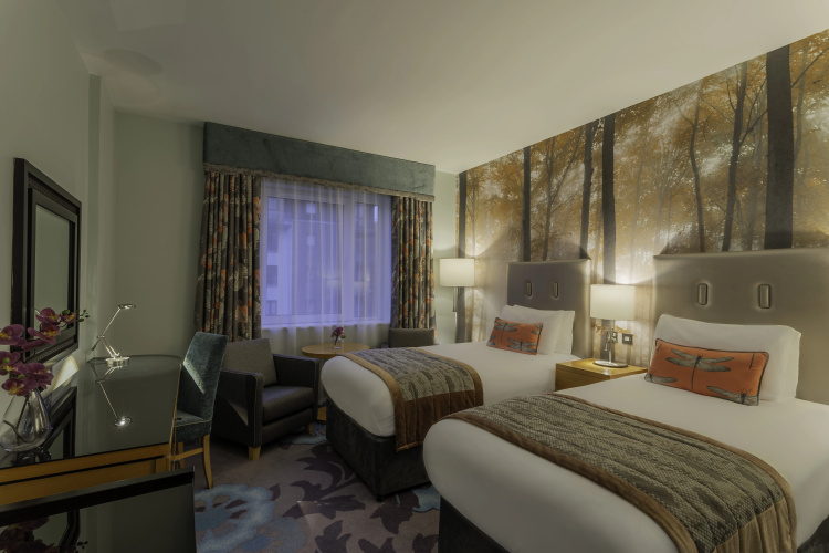 Crowne Plaza Dublin Airport photo 7