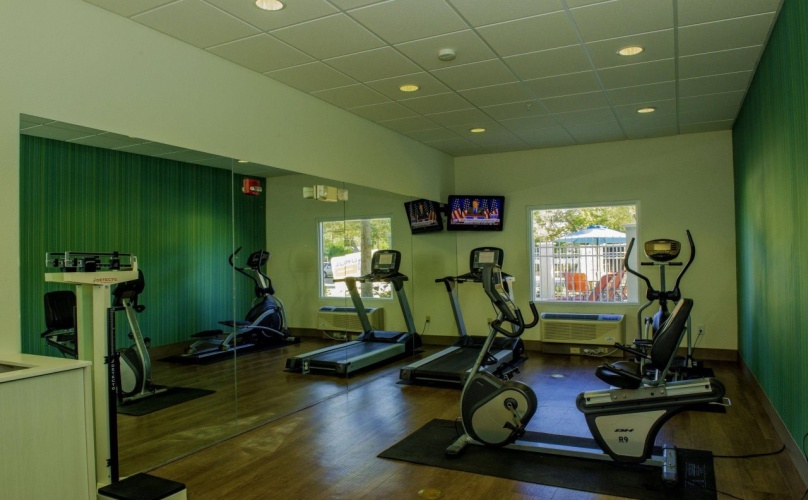 Holiday Inn Express & Suites St. Petersburg North (I-275) photo 25