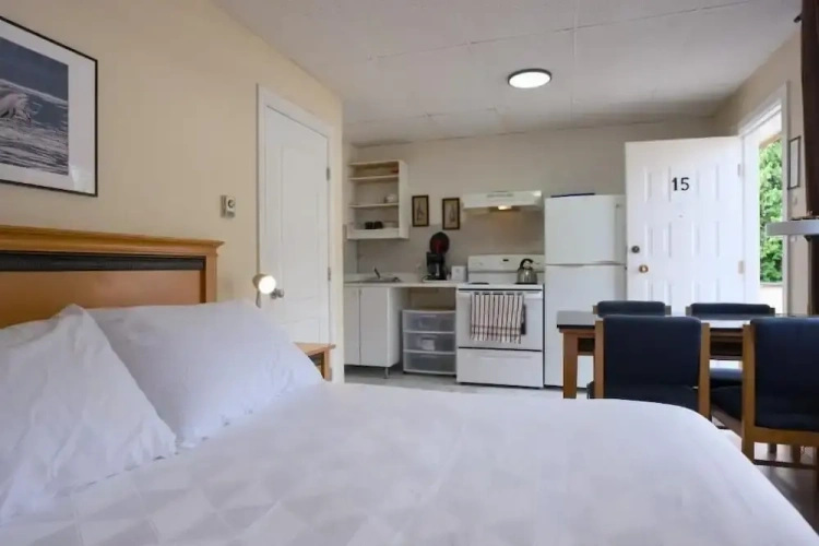 Quadruple Basement Suite