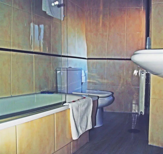 Hostal A Camelia