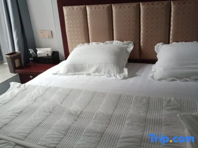 Premium Single room