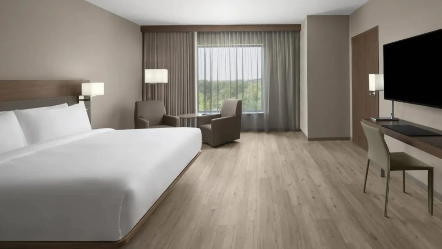 1 Bedroom Executive Suite