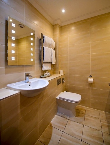 Executive Basement room