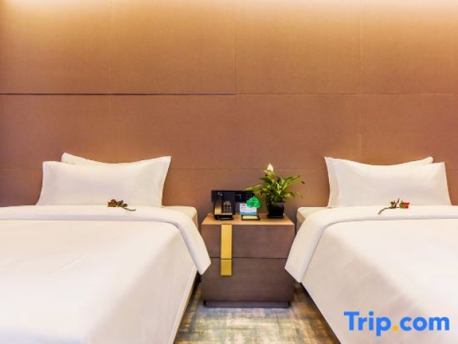 Deluxe Twin room with city view