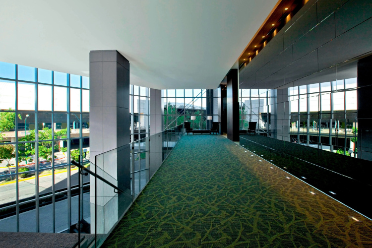 The Westin Guadalajara photo 16