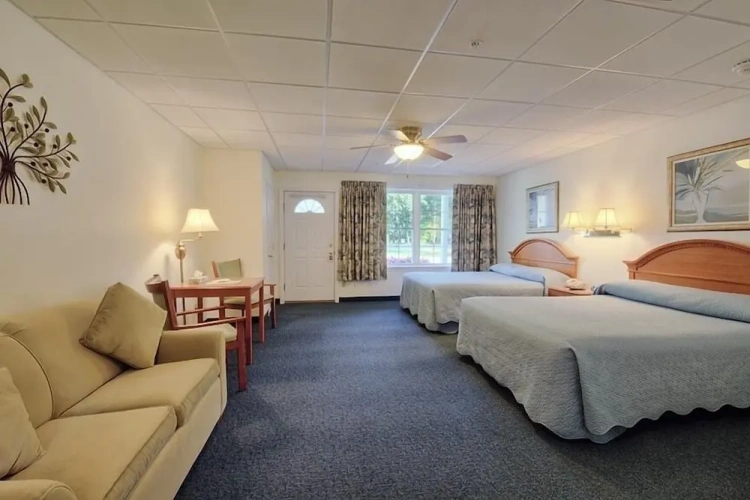 Standard Quadruple Basement room