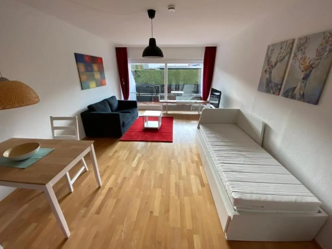 1 Bedroom Apartment