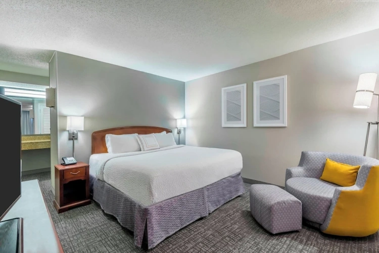 1 Bedroom Suite