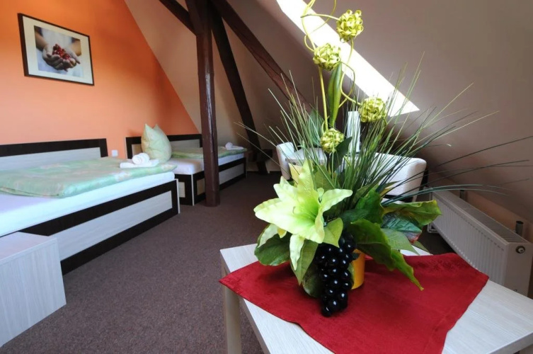 Hotel Darkov