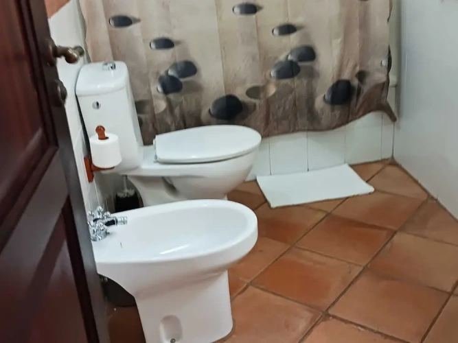 Standard Twin room with garden view