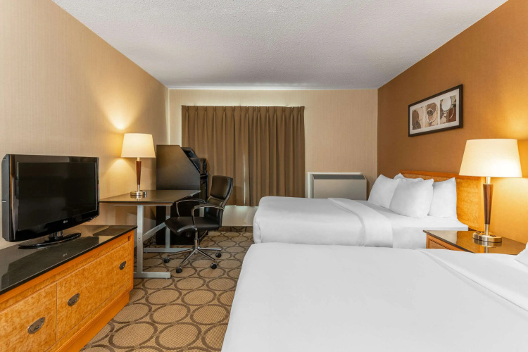 Comfort Inn South photo 8