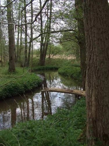 Farm Stay Luythoeve