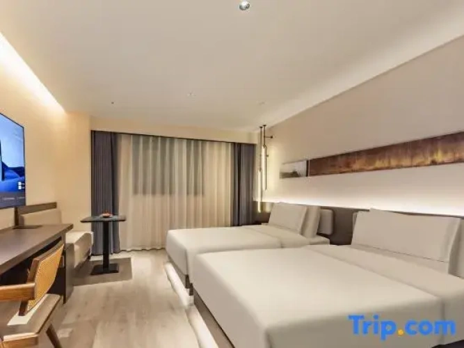 Executive Twin room