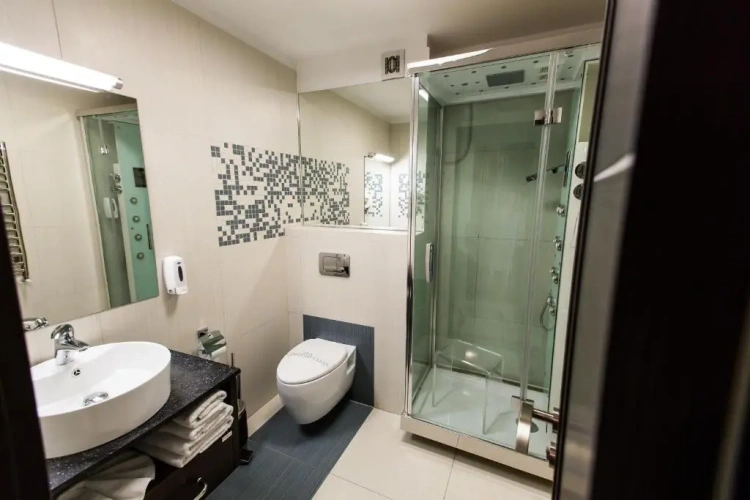 Deluxe Apartment with view