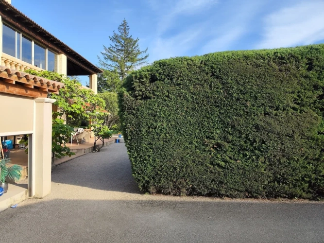 Deluxe Double Suite with garden view