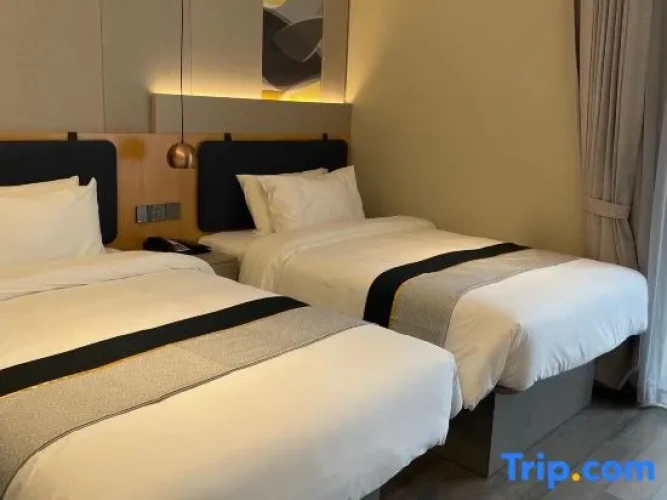 Superior Double room with street view
