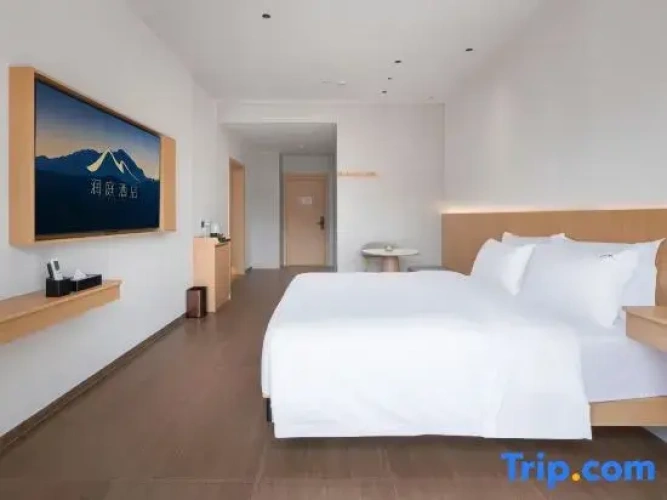Comfort Double Suite