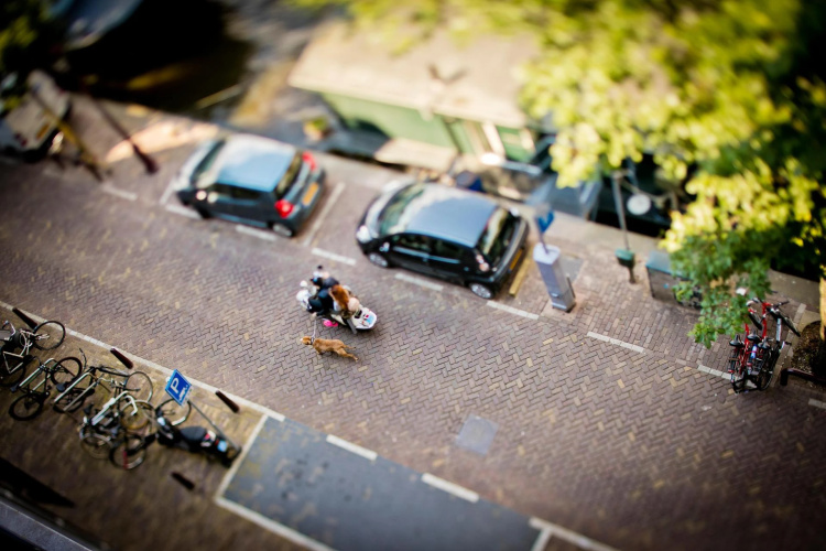 Luxury Suites Amsterdam photo 33