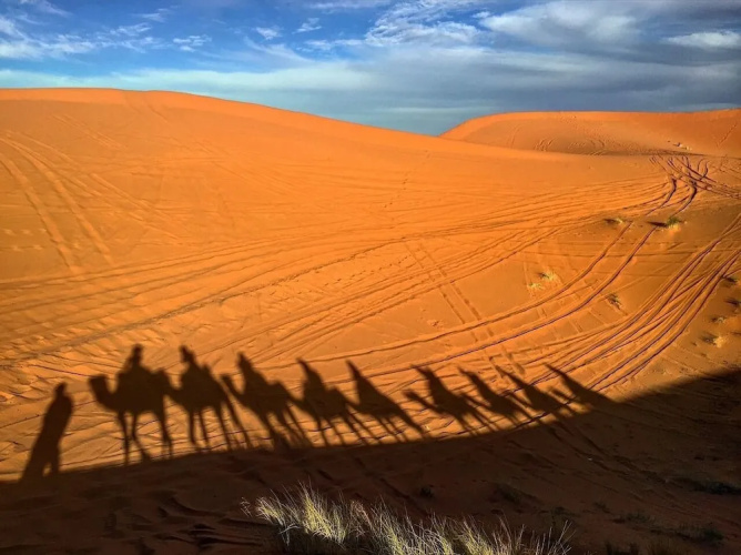 Fabulous Desert Camp