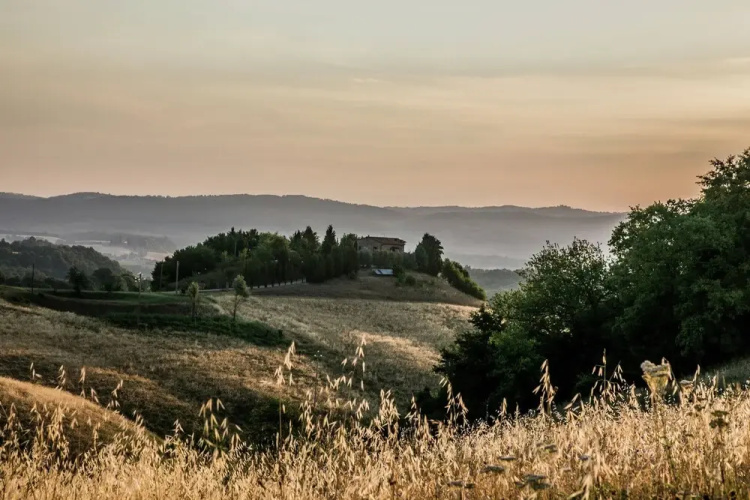 Villa in Siena With Pool and Tuscan Views