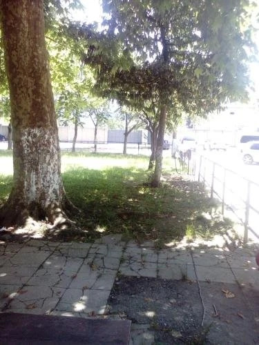 Kvartira Irakli