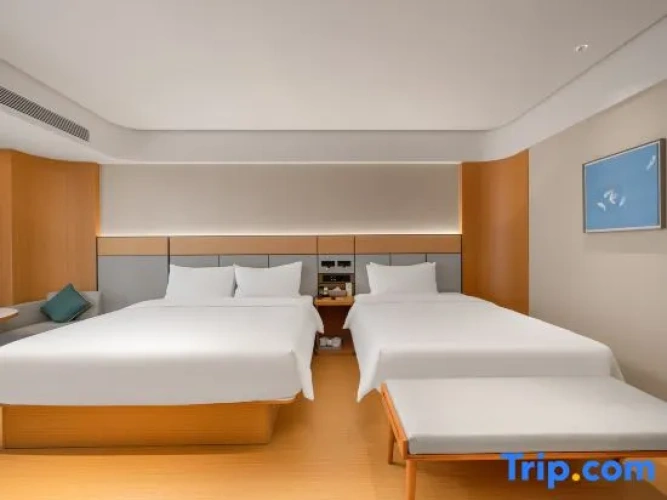 Standard Twin Family room