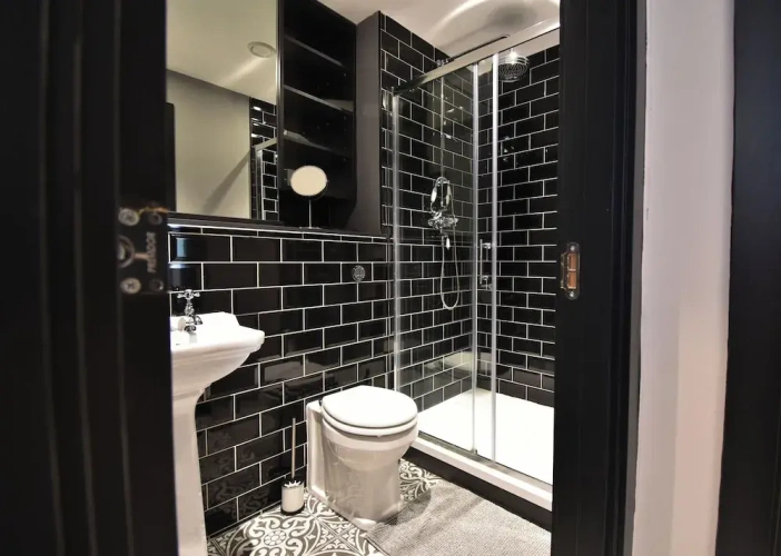 Deluxe Apartment with city view