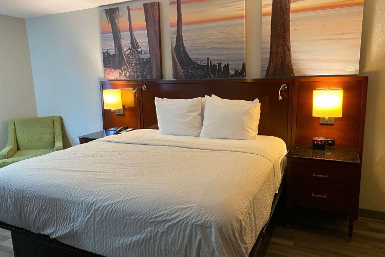 1 Bedroom Double Suite