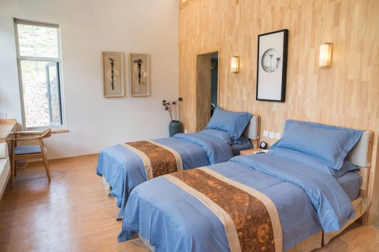 Standard Duplex room