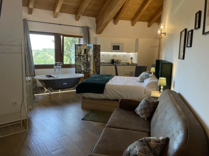 Comfort Studio