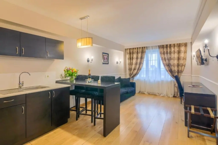1 Bedroom Suite with view