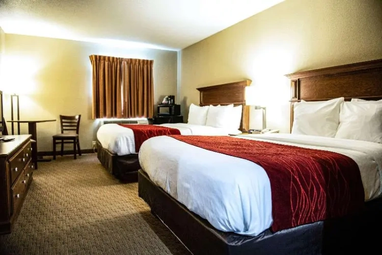 Standard Twin room