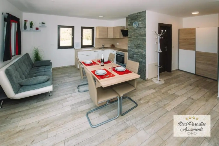 1 Bedroom Apartment